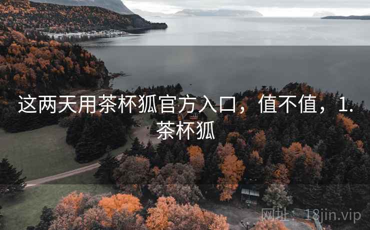 这两天用茶杯狐官方入口，值不值，1.茶杯狐  第2张
